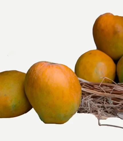 Raspuri 2Kg + Baiganpally 2Kg