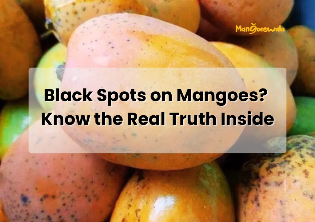 Fresh Ratnagiri Alphonso Mango Delivery in Bangalore