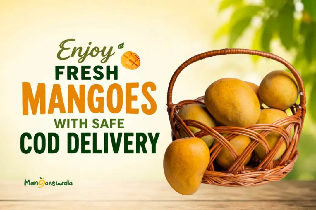 Fresh Imam Pasand mangoes available for online delivery in Bengaluru