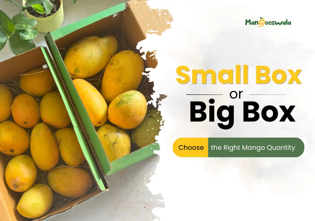 Fresh Langra, Dasheri and Badami mango varieties online Bangalore