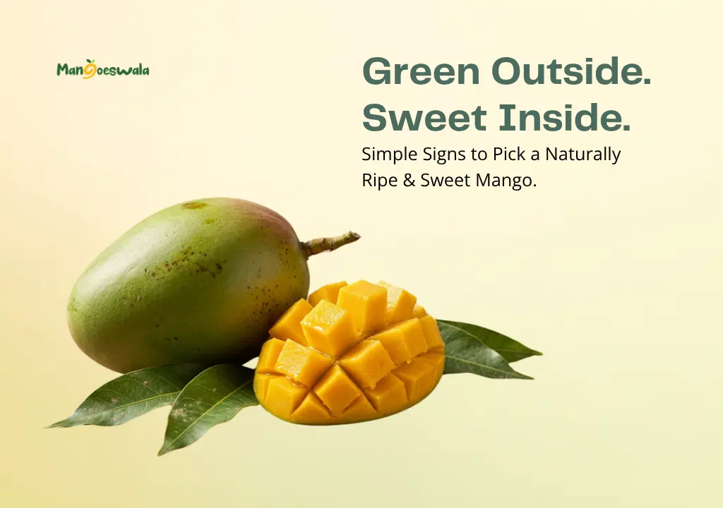 Ripe Langra mango with naturally green skin